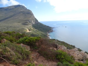Cape Point Nature Reserve
