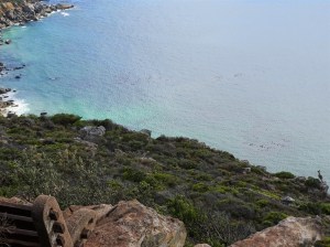 Cape Point Nature Reserve
