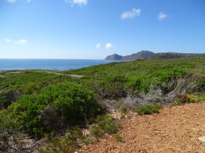 Cape Point Nature Reserve