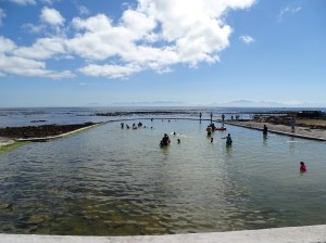 Cape Point Nature Reserve