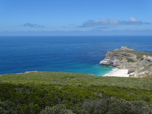 Why Nature is Good for the Soul