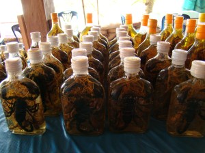 Venomous snake wine