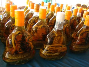 Venomous snake wine