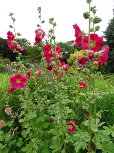 West Acre Garden in Norfolk