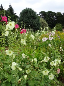 West Acre Garden in Norfolk