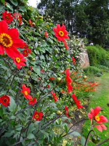 West Acre Garden in Norfolk