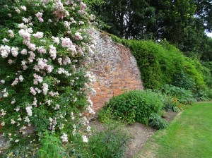 West Acre Garden in Norfolk