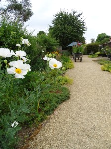 West Acre Garden in Norfolk