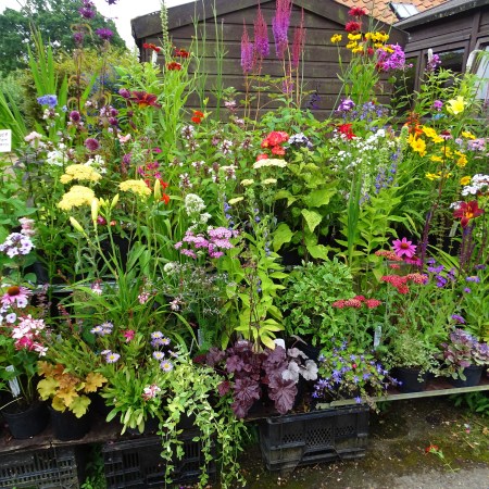 West Acre Garden in Norfolk