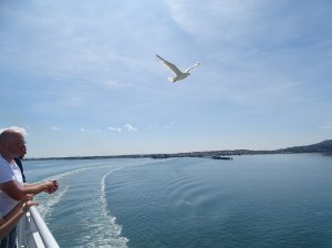 What I learned from my Ireland Road Trip