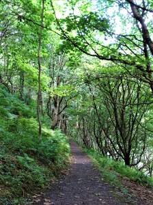 What I learned from my Ireland Road Trip