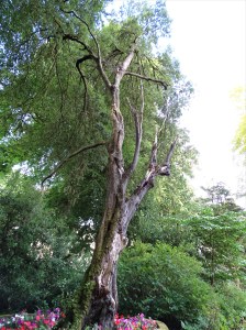 Rathmullan, situated in County Donegal, Ireland