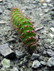 What I learned from my Ireland Road Trip