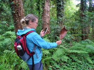 What I learned from my Ireland Road Trip