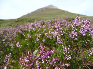 What I learned from my Ireland Road Trip