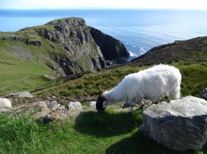 What I learned from my Ireland Road Trip