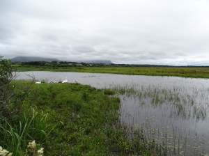 What I learned from my Ireland Road Trip