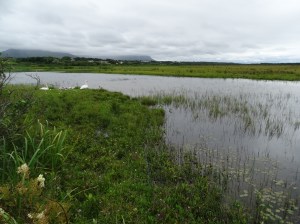 What I learned from my Ireland Road Trip