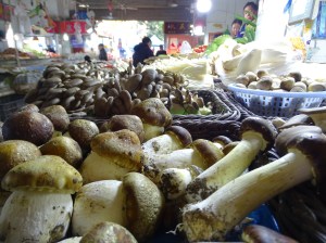 Living in Shanghai, China