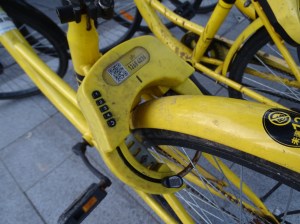 Prepare to Teach English in China