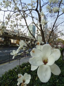 Tips on how to be a Mindful Traveller