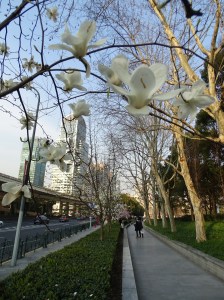 Tips on how to be a Mindful Traveller