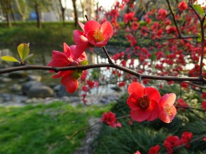 Tips on how to be a Mindful Traveller