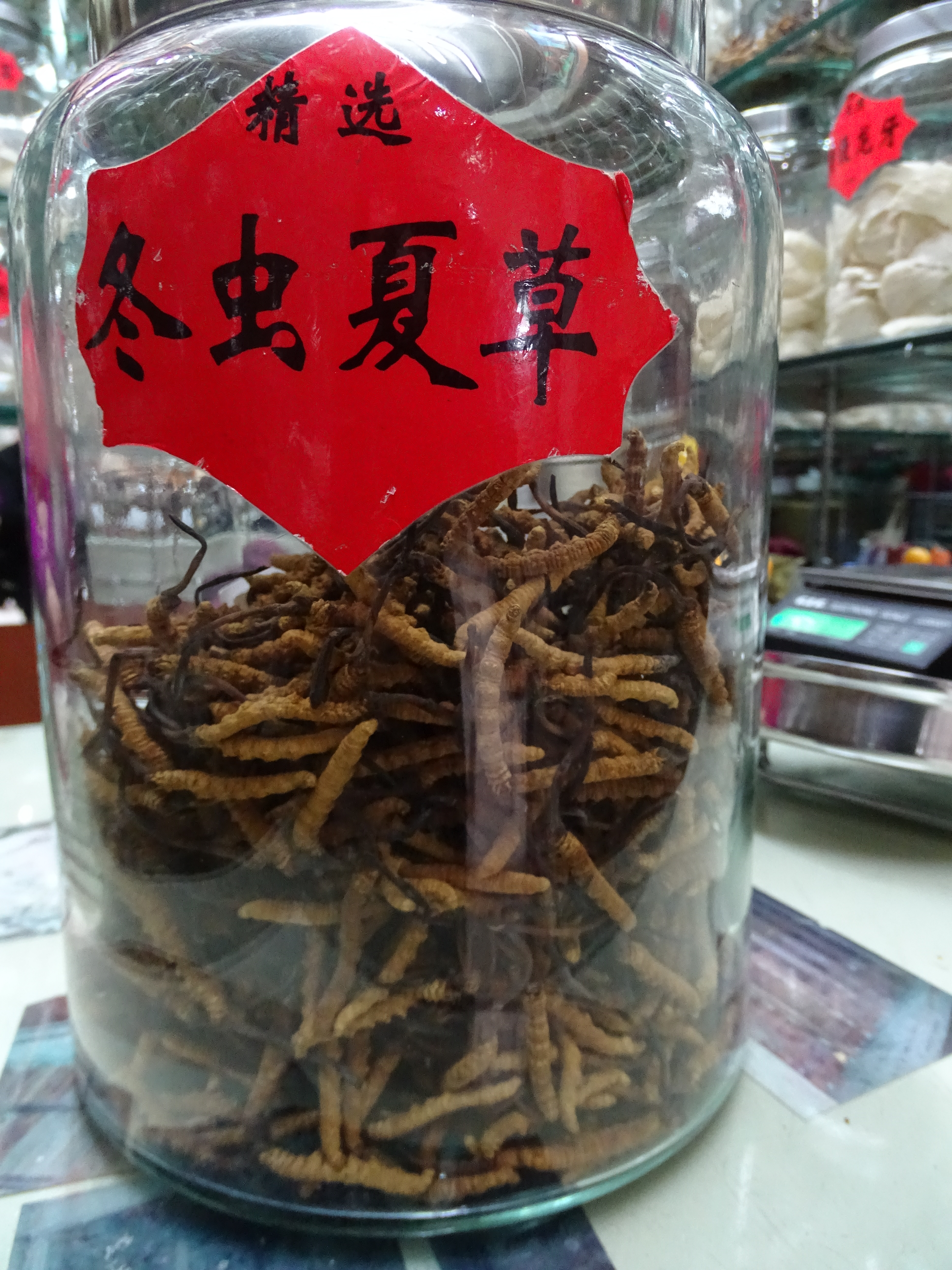 Chinese Worm Tea