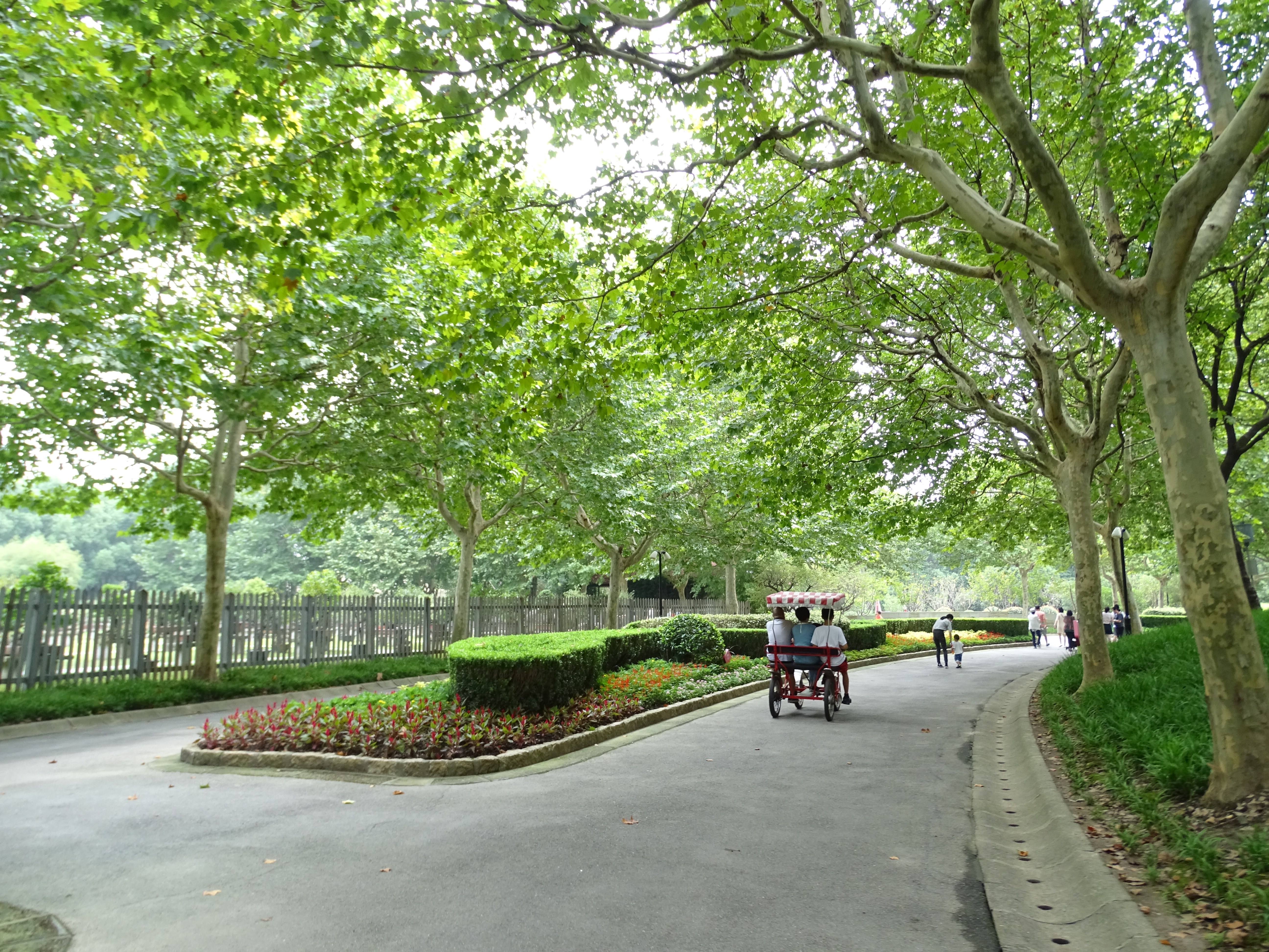 Monday Walk through Century Park