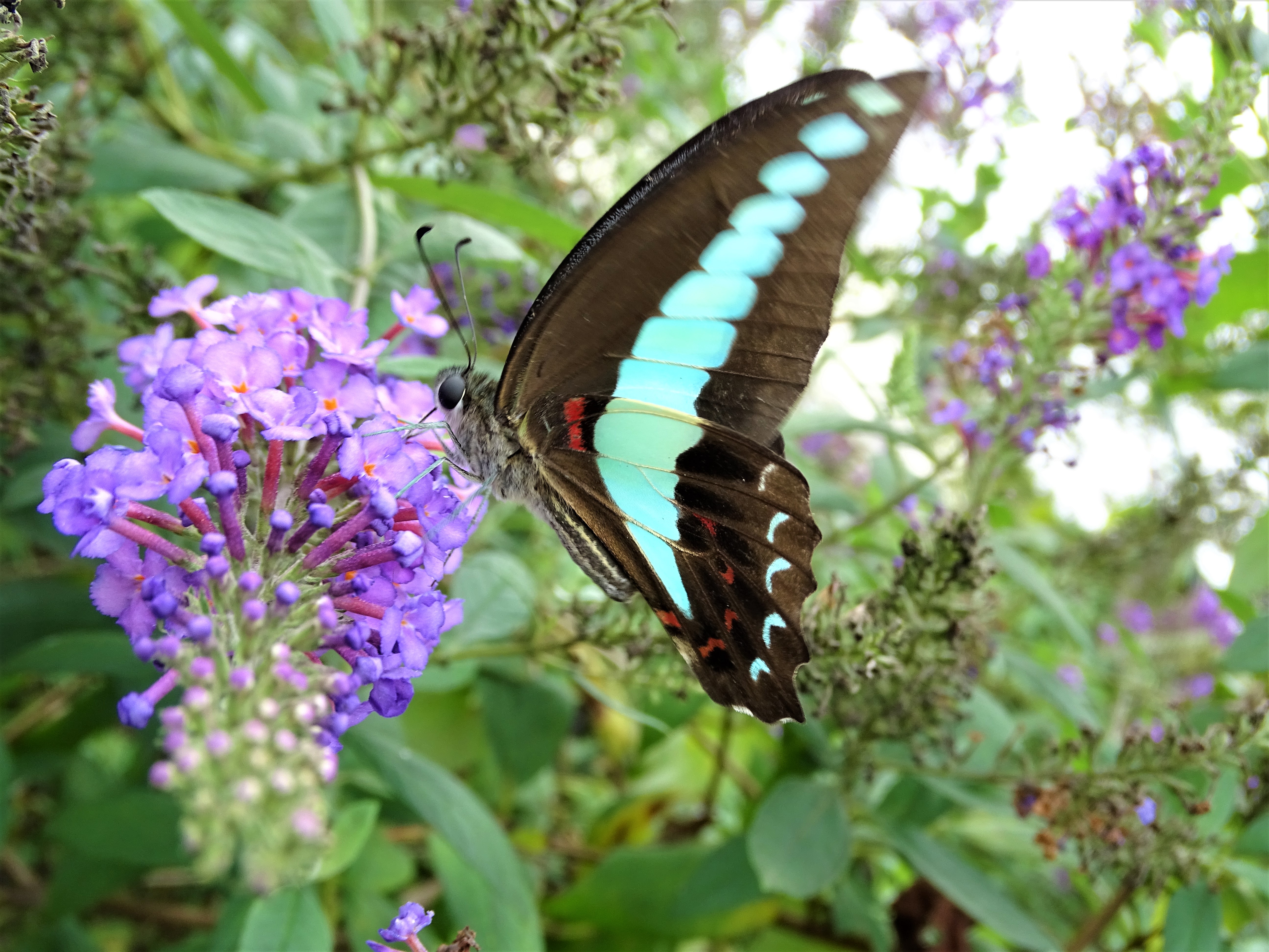 Monday Walk through Century Park