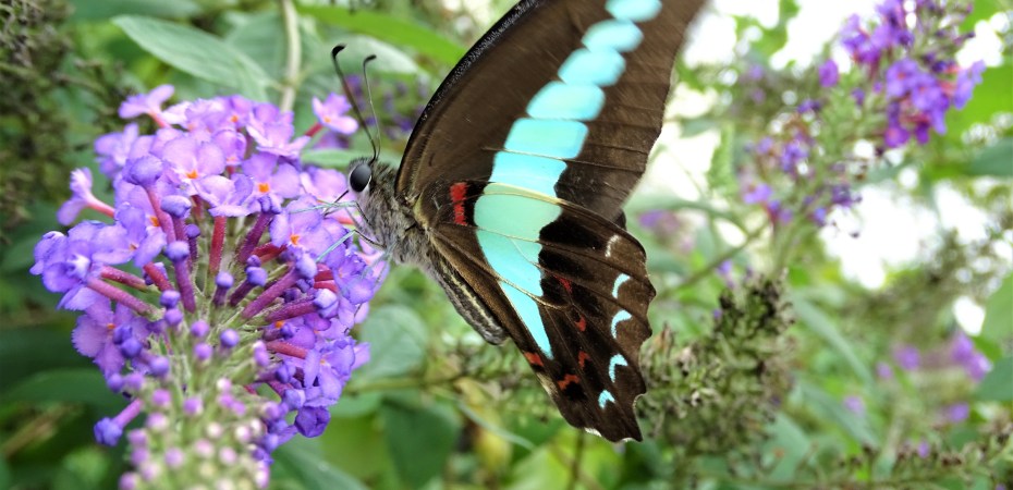 Monday Walk through Century Park