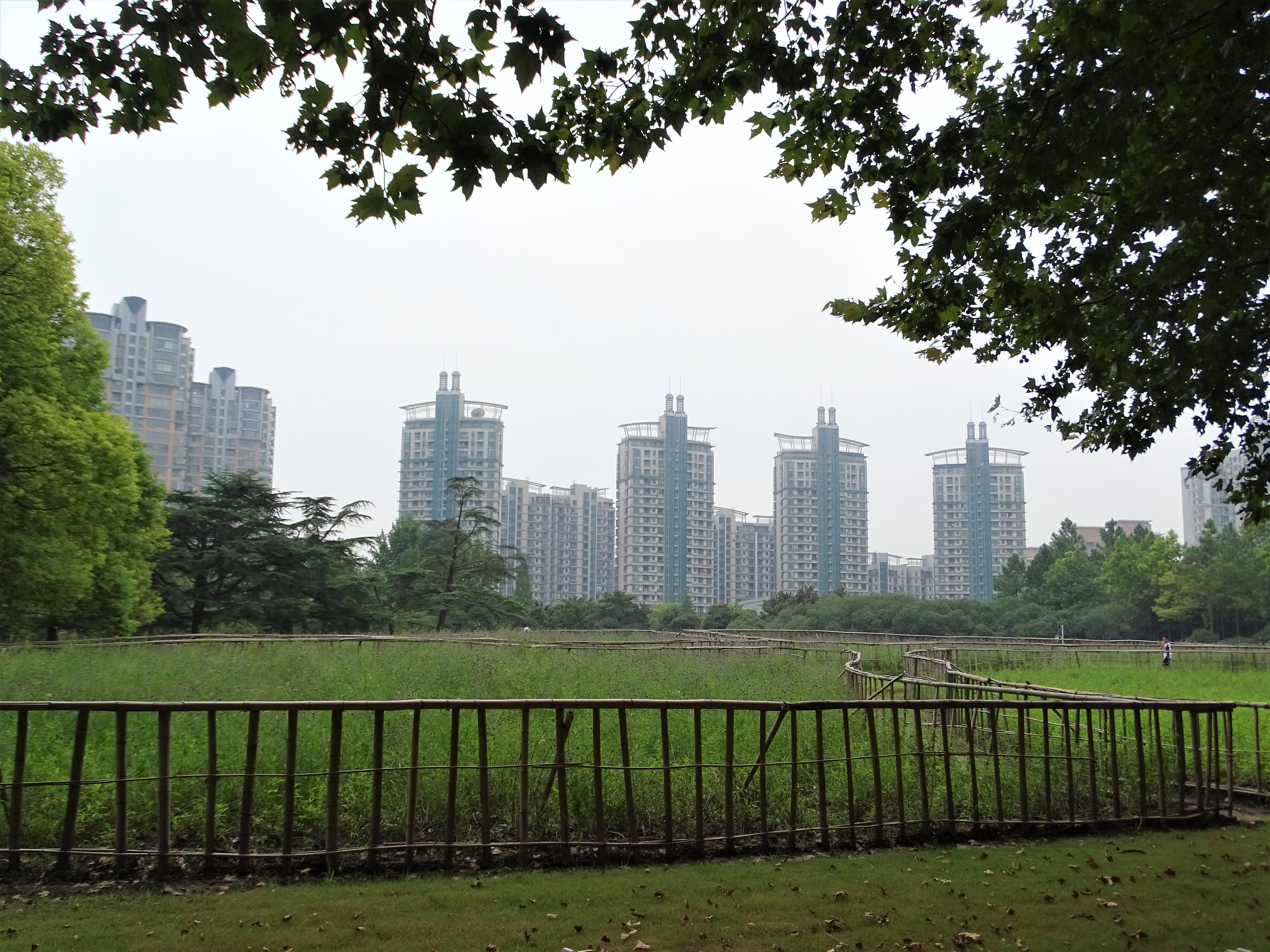 Monday Walk through Century Park