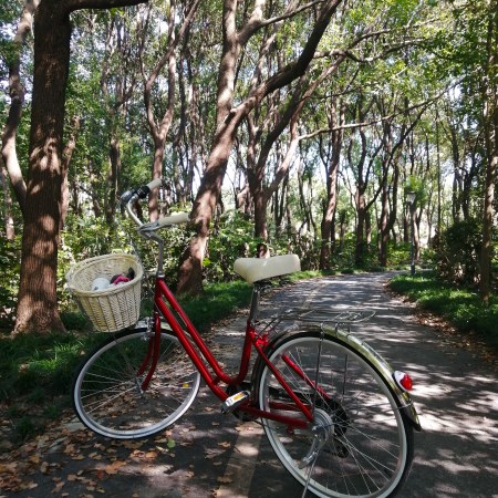 10 Insider tips to help you adapt to Chinese culture