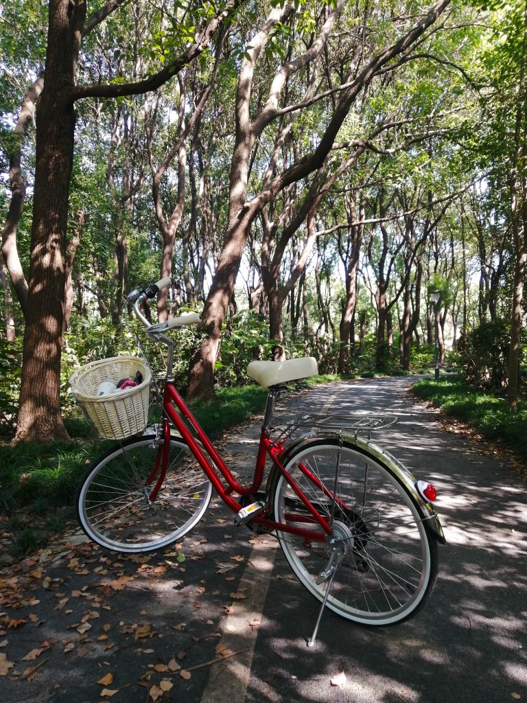 10 Insider tips to help you adapt to Chinese culture