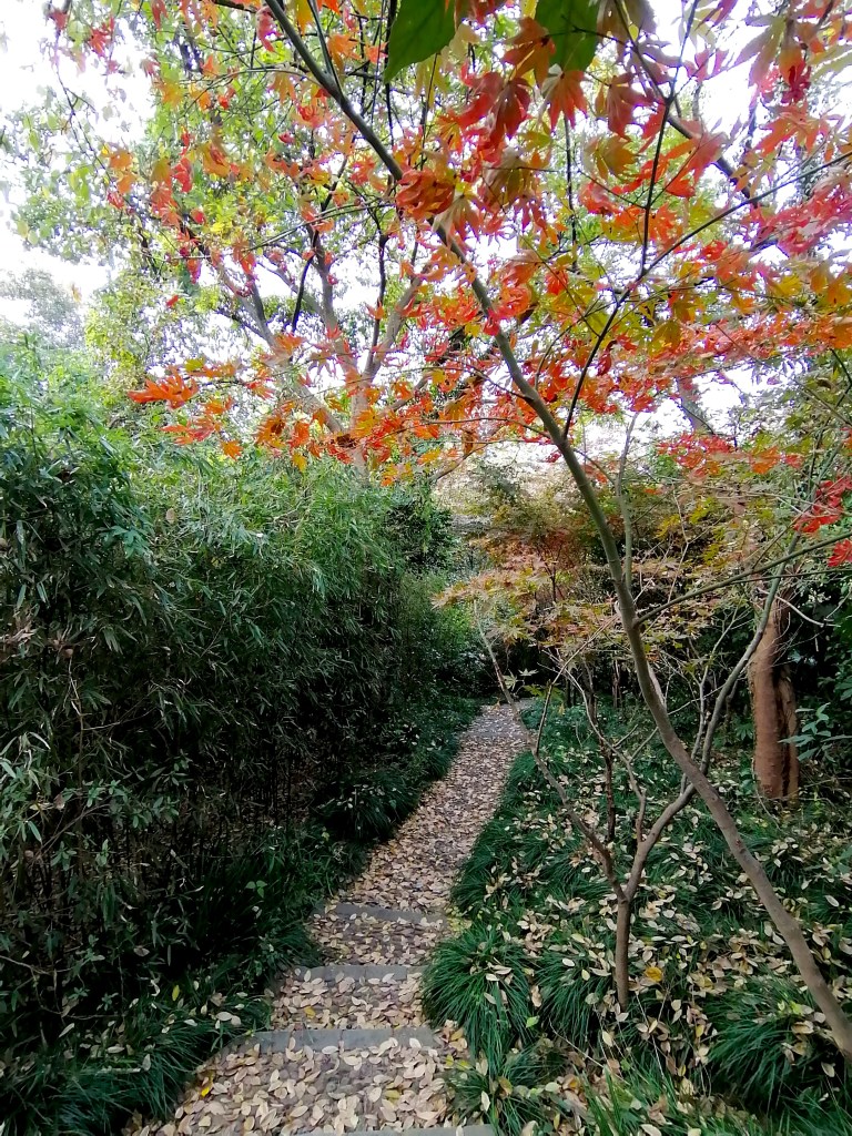 10 Insider tips to help you adapt to Chinese culture